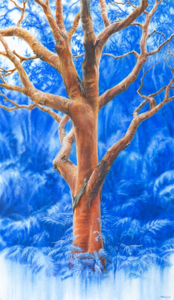 Artwork by Tim Owers: Anatomy Of The Angophora (Wyrrabalong, The Entrance, NSW) | 2022 | Pastel on Paper