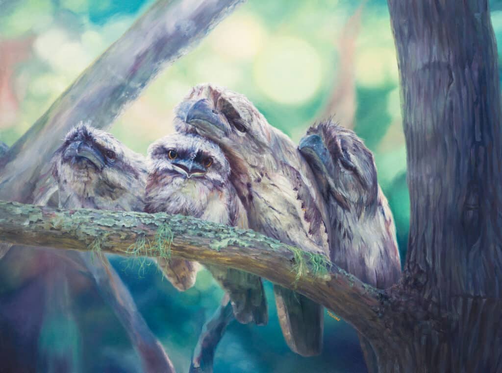 Family Of Frogmouths