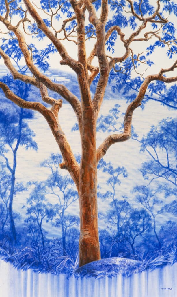Pastel drawing of a Sydney Red Gum (Angophora costata) situated at Mosman, NSW