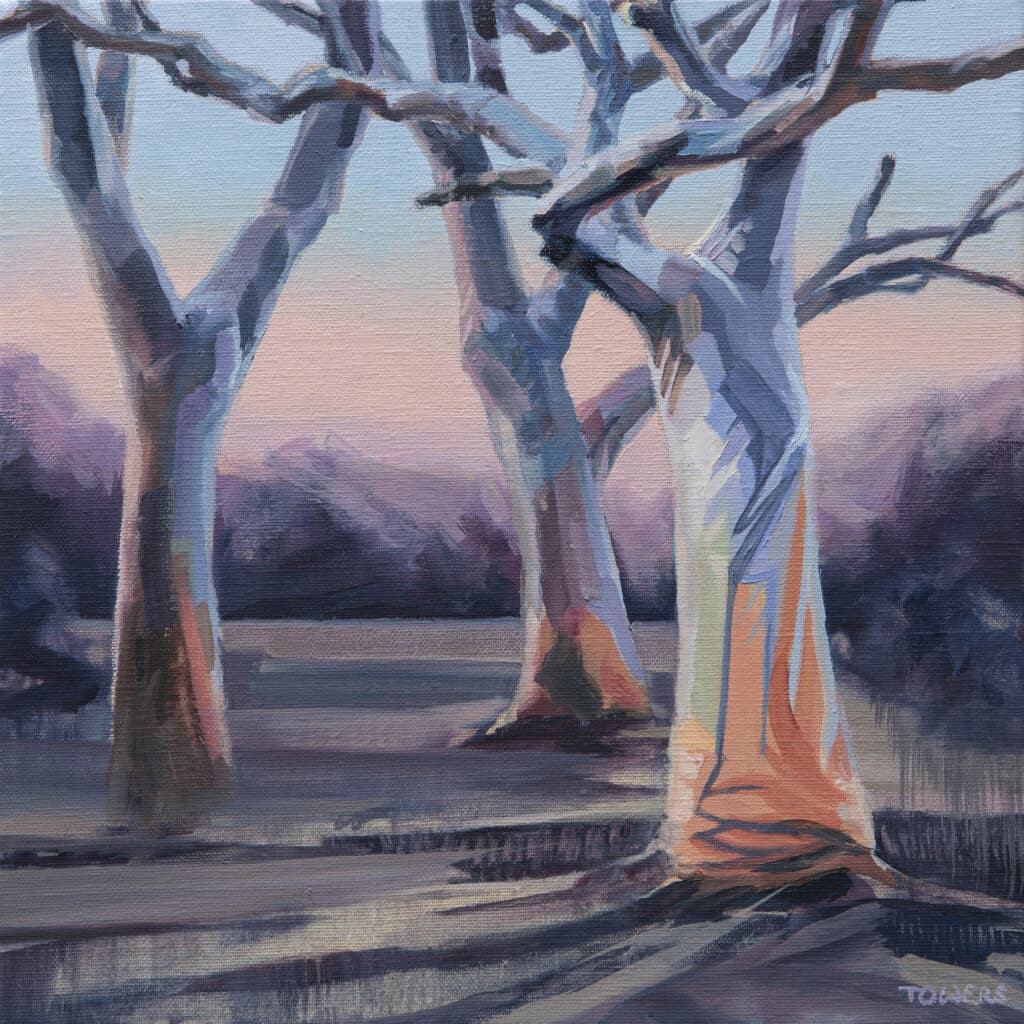 Painting of a group of Scribbly Gum eucalyptus trees situated at Mangrove Mountain on the NSW Central Coast.