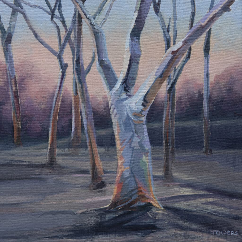 Painting of a group of Scribbly Gum eucalyptus trees after fire, situated at Mangrove Mountain on the NSW Central Coast.