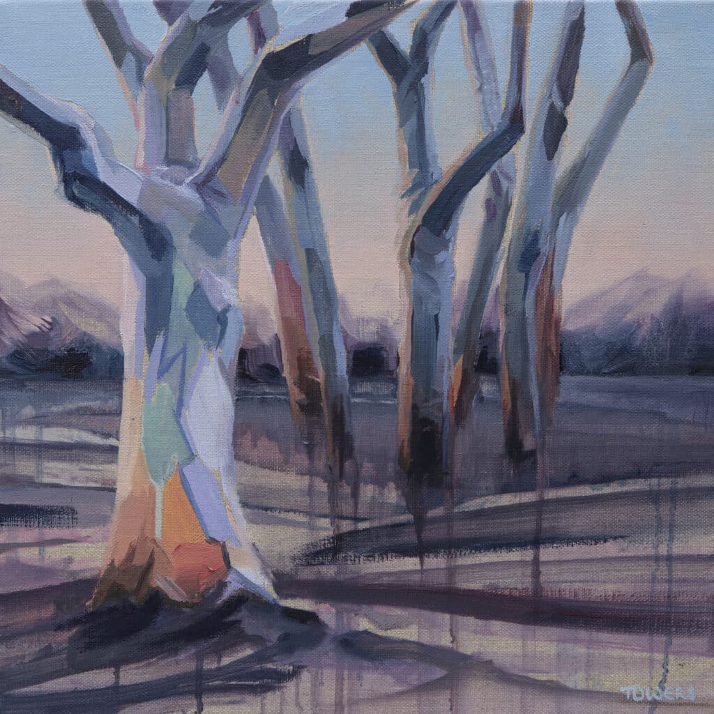 Painting of a group of Scribbly Gum eucalyptus trees after fire, situated at Mangrove Mountain on the NSW Central Coast.