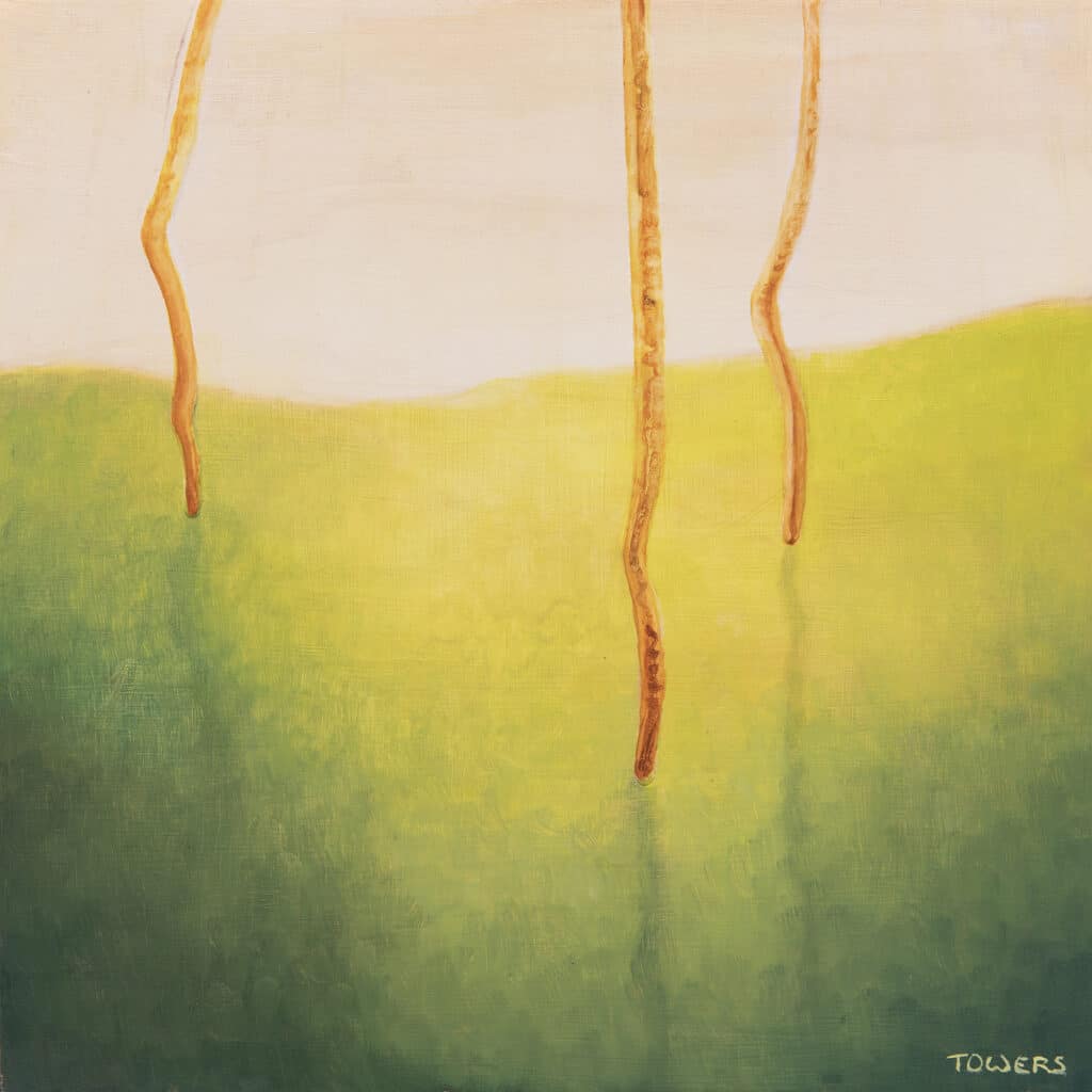 Painting by Tim Owers of a group of Sydney Red Gums (Angophora costata)