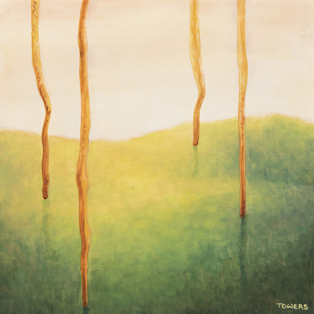 Painting by Tim Owers of a group of Sydney Red Gums (Angophora costata)